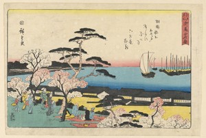 Viewing of the cherry blossoms