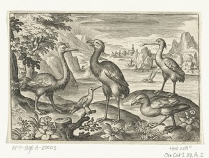 Vijf vogels waaronder lepelaar