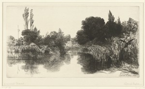 Vijver
