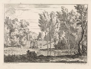 Vijver in een architectonische tuin