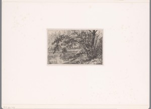 Vijver van Groenendaal