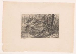 Vijver van Groenendaal