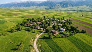 Village in the Meadows