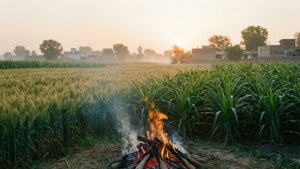 Village Lohri Morning