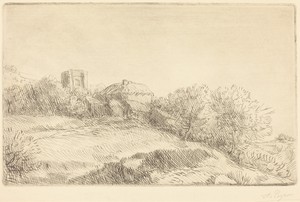 Village (Un village)