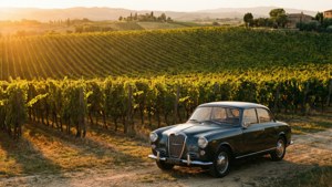Vineyard Sunset