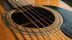Vintage Acoustic Detail