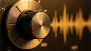 Vintage Analog Knob