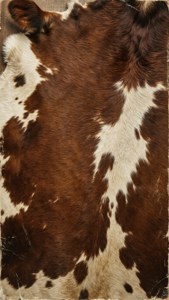 Vintage Distressed Cowhide