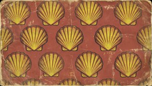 Vintage Distressed Shell