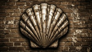 Vintage Distressed Shell