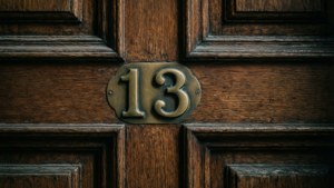 Vintage Door 13