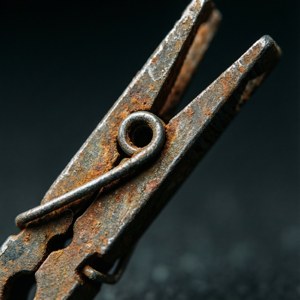 Vintage Rusty Clothespin