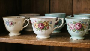Vintage Teacup Collection