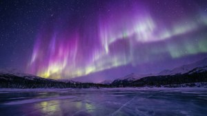 Violet Aurora Over Snow