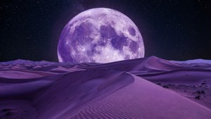 Violet Desert Dunes