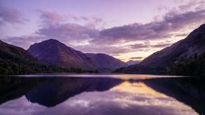 Violet Mountain Serenity