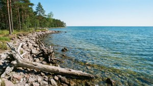 Visby Coastline Beauty