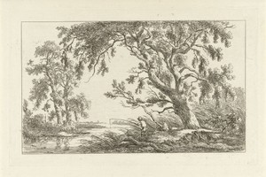 Visser in een rivierlandschap