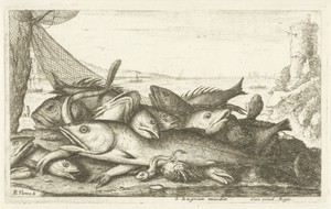 Visvangst met heremietkreeft
