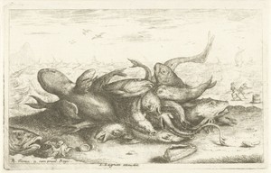 Visvangst op het strand