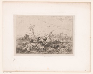 Voeden van de varkens