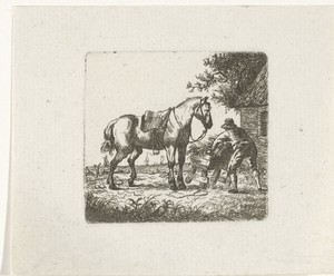 Voeren van het paard