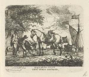 Voeren van het paard
