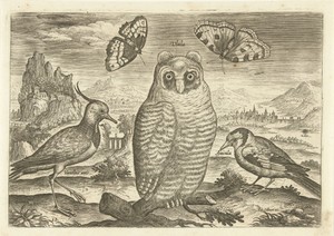 Vogels en vlinders in een landschap