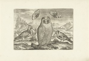 Vogels en vlinders in een landschap