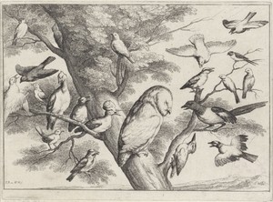 Vogels in een boom