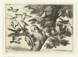 Vogels in een boom