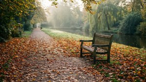 Vondelpark Autumn Path