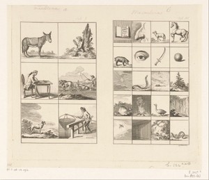 Voorbeelden van mannelijke zelfstandige naamwoorden in het Latijn (masculina)
