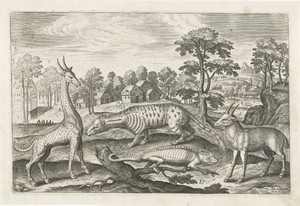 Voorstelling van een giraf, kameleon, civetkat en antilope