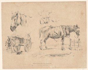 Voorstellingen van paarden en een hond