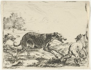 Vos en drie honden