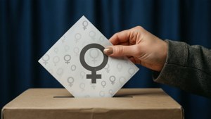 Voting for Equality