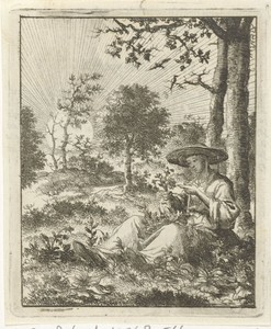 Vrouw bekijkt bloemen in het veld
