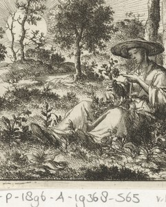 Vrouw bekijkt bloemen in het veld