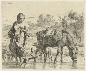 Vrouw en een drinkende ezel staan in ondiep water, een hond springt op voor haar voeten