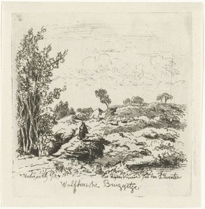 Vrouw in een landschap