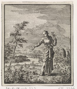 Vrouw plukt bloemen in het veld