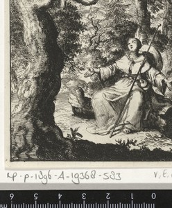 Vrouwelijke pelgrim ziet in het bos een tortelduif