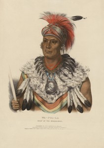 Wa-pel-la: Chief of Musquakees