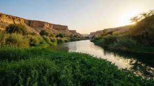 Wadi Hanifah Golden Hour