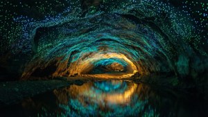 Waitomo Glowworm Cave