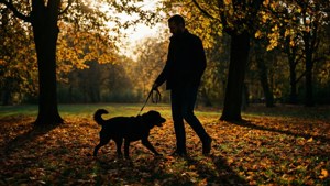Walk in the Park
