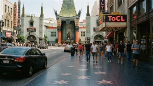 Walk of Fame Bustle