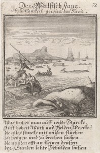 Walvisvangst
